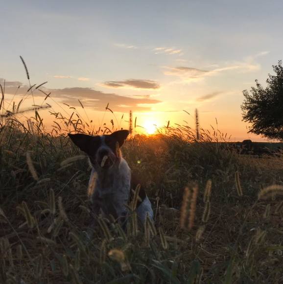 Meet your Posher, Gabrielle - Picture 1 of 1